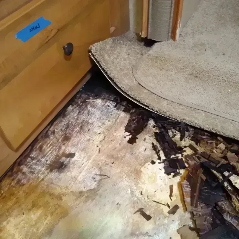 Wood Floor Water Damage in Kent County, RI